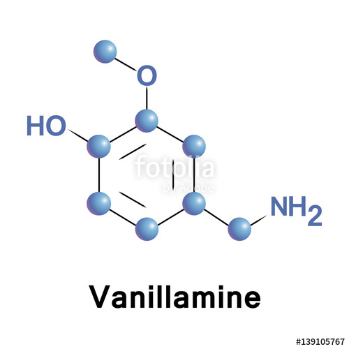 Vanillamine Vector Molecular Structure, Component Of The Extract 500x500 Vanillamine Vector Molecular Structure, Component Of The Extract