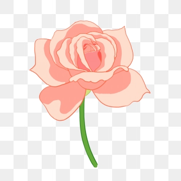 360x360 Vanilla Flower Png, Vector, And Clipart With Transparent