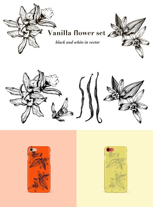 500x674 Vanilla Flower Set