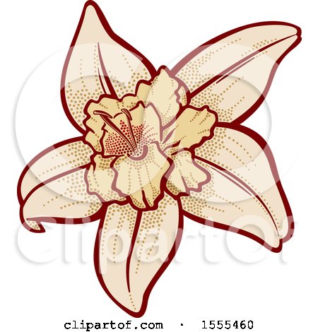 450x470 Clipart Of A Vanilla Flower