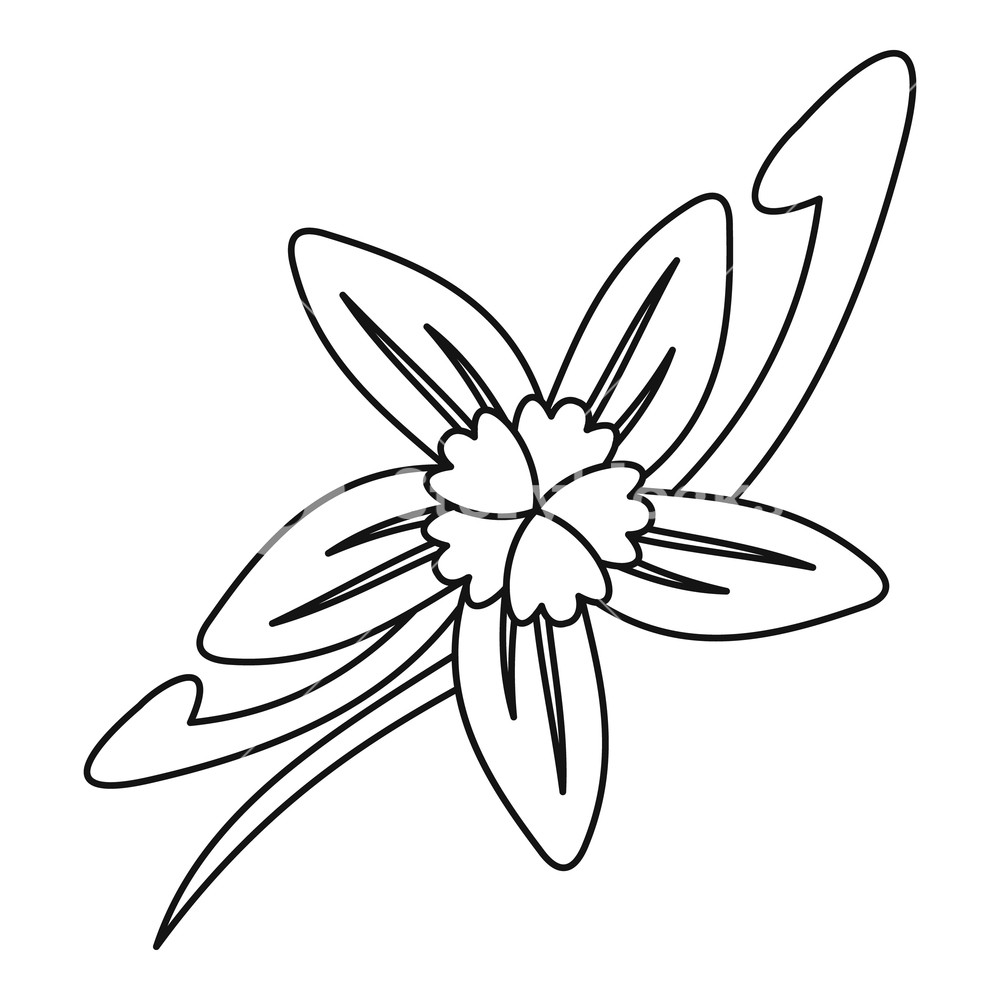 1000x1000 Vanilla Flower Icon Outline Illustration Of Vanilla Flower Vector