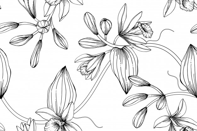 626x417 Seamless Vanilla Flower Pattern Background Vector Premium Download