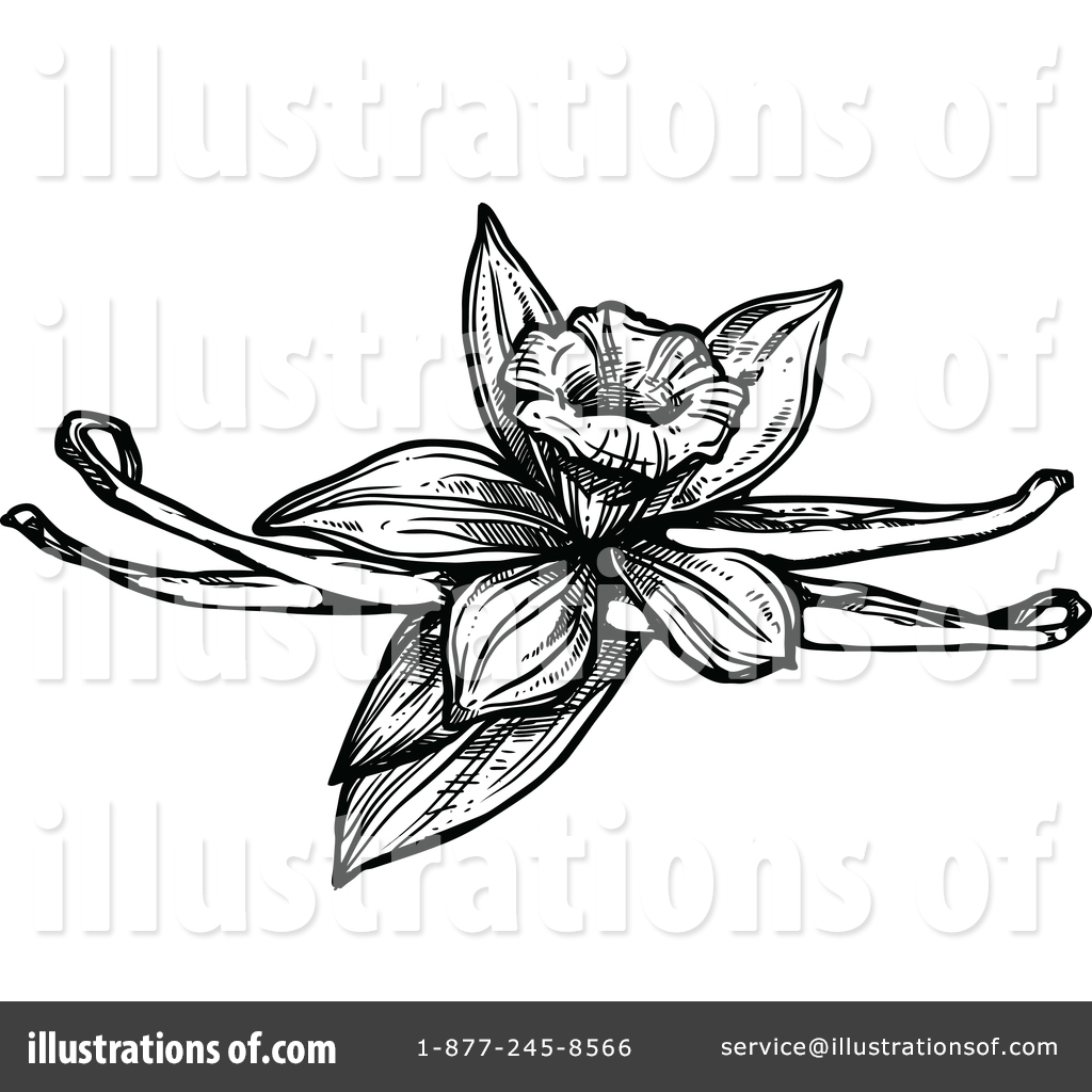 1024x1024 Vanilla Clipart