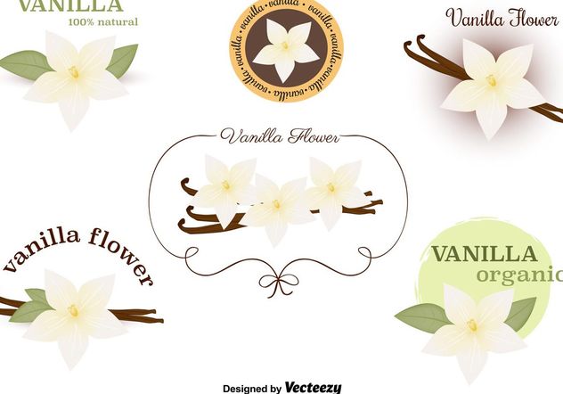 632x442 Vanilla Flower Vectors Set Free Vector Download Cannypic
