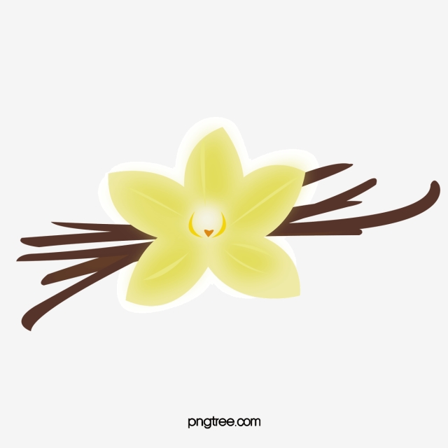 640x640 Vanilla Png, Vector, And Clipart With Transparent Background