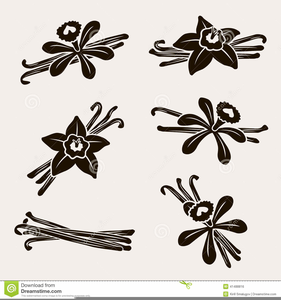 281x300 Vanilla Vector Clipart Free Images