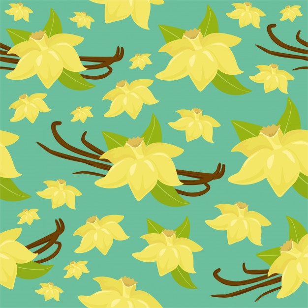 626x626 Vanilla Vectors, Photos And Free Download