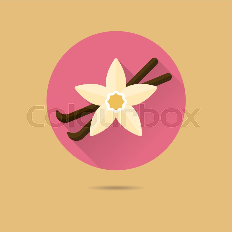 800x800 Vanilla Blossom And Pods Flat Design Stock Vector Colourbox