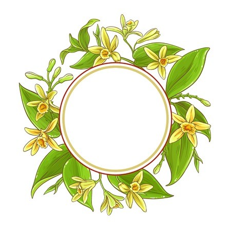 450x450 Vanilla Vector Frame Royalty Free Vector Graphics