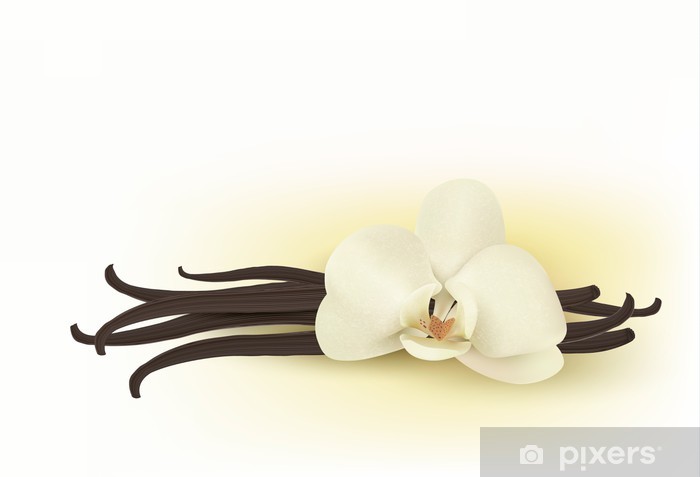 700x477 Vanilla Vector Wall Mural