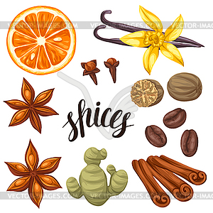 300x300 Various Stylized Spices Set Anise, Cloves, Vanilla