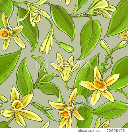 450x468 Vanilla Vector Pattern