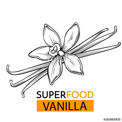 500x500 Vector Icon Superfood Vanilla Stock Image And Royalty Free Vector