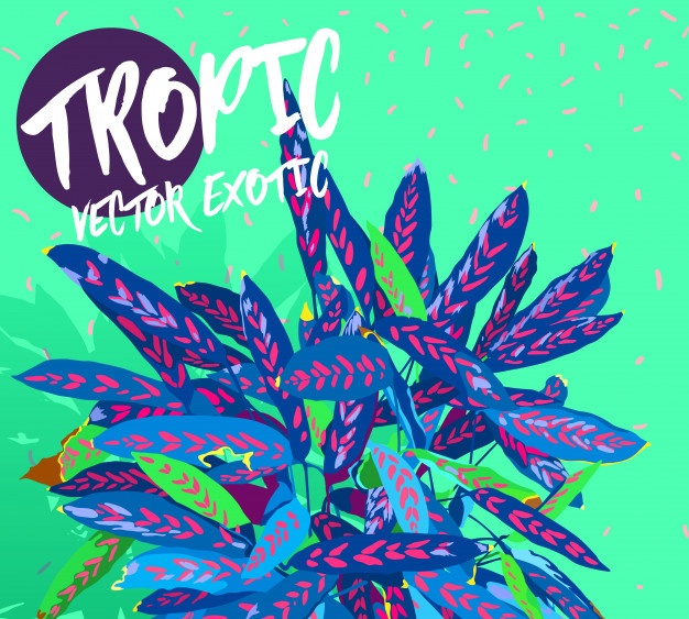 Vaporwave Vectors, Photos And Free Download 626x563 Vaporwave Vectors, Photos And Free Download