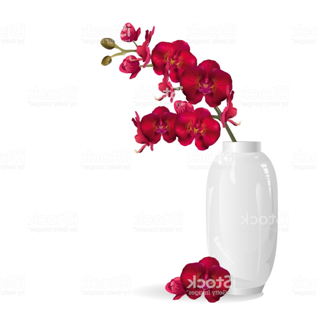1228x1228 Red Orchid Flowers In White Vase Realistic Vector Illustration Gm