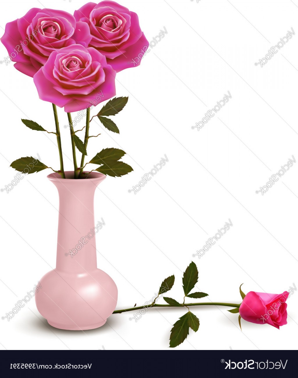 1024x1296 Roses In Vase Vector Hoodamathrun