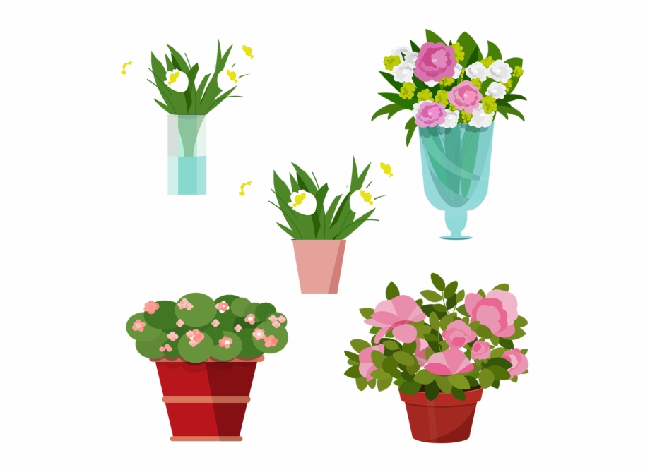 920x669 Vase Vector Plant