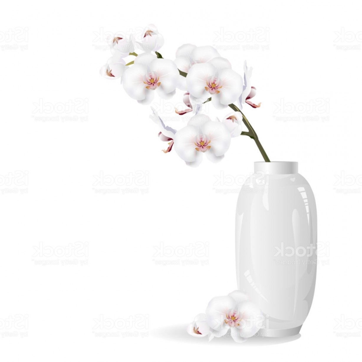 1228x1228 White Orchid Flowers In White Vase Realistic Vector Illustration
