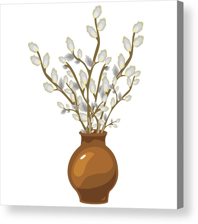 666x750 Willow In Vase, Vector Bouquet Isolated, Decor Acrylic Print