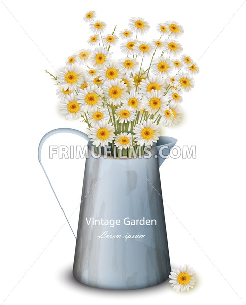 484x600 Chamomile Flowers In A Pot Vase Vector Spring Background