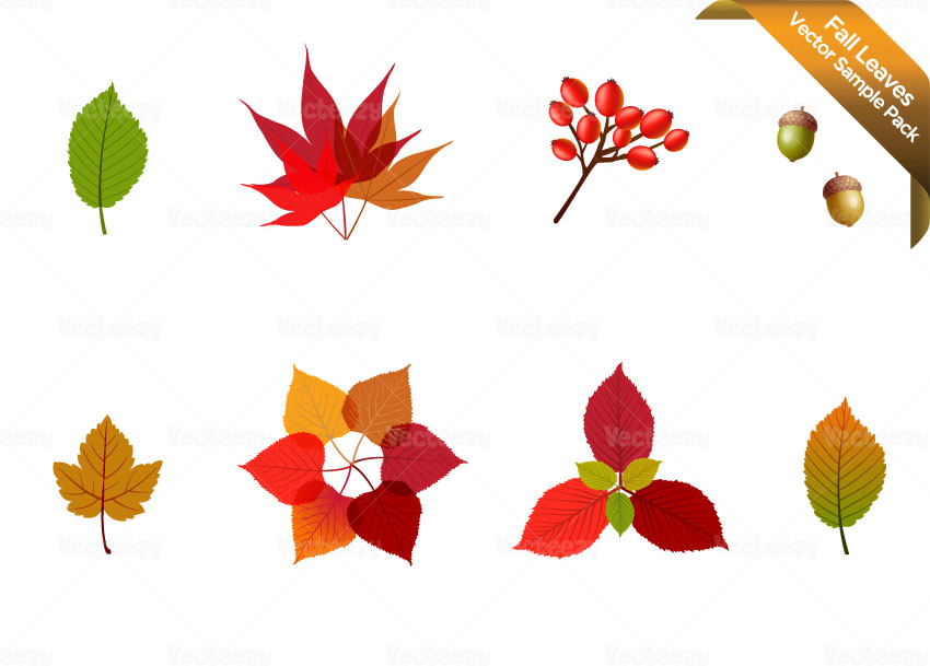 850x609 Fall Leaves Sample Vector Pack