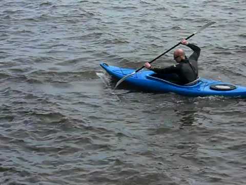 480x360 Vector In Water Testing