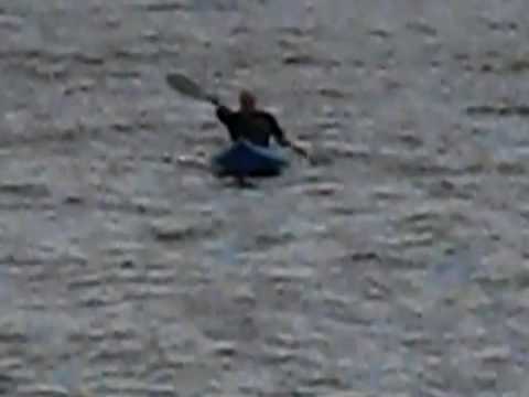 480x360 Vector In Water Testing