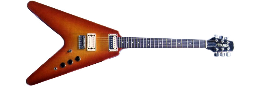 900x300 Hamer Vector