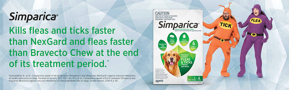 960x300 Simparica A Flea And Tick Treatment That Works Fast Lasts