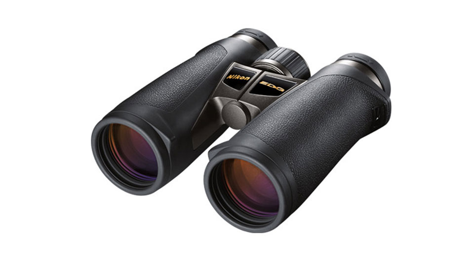 960x540 A Guide To Birding With Binoculars Bamph Explora
