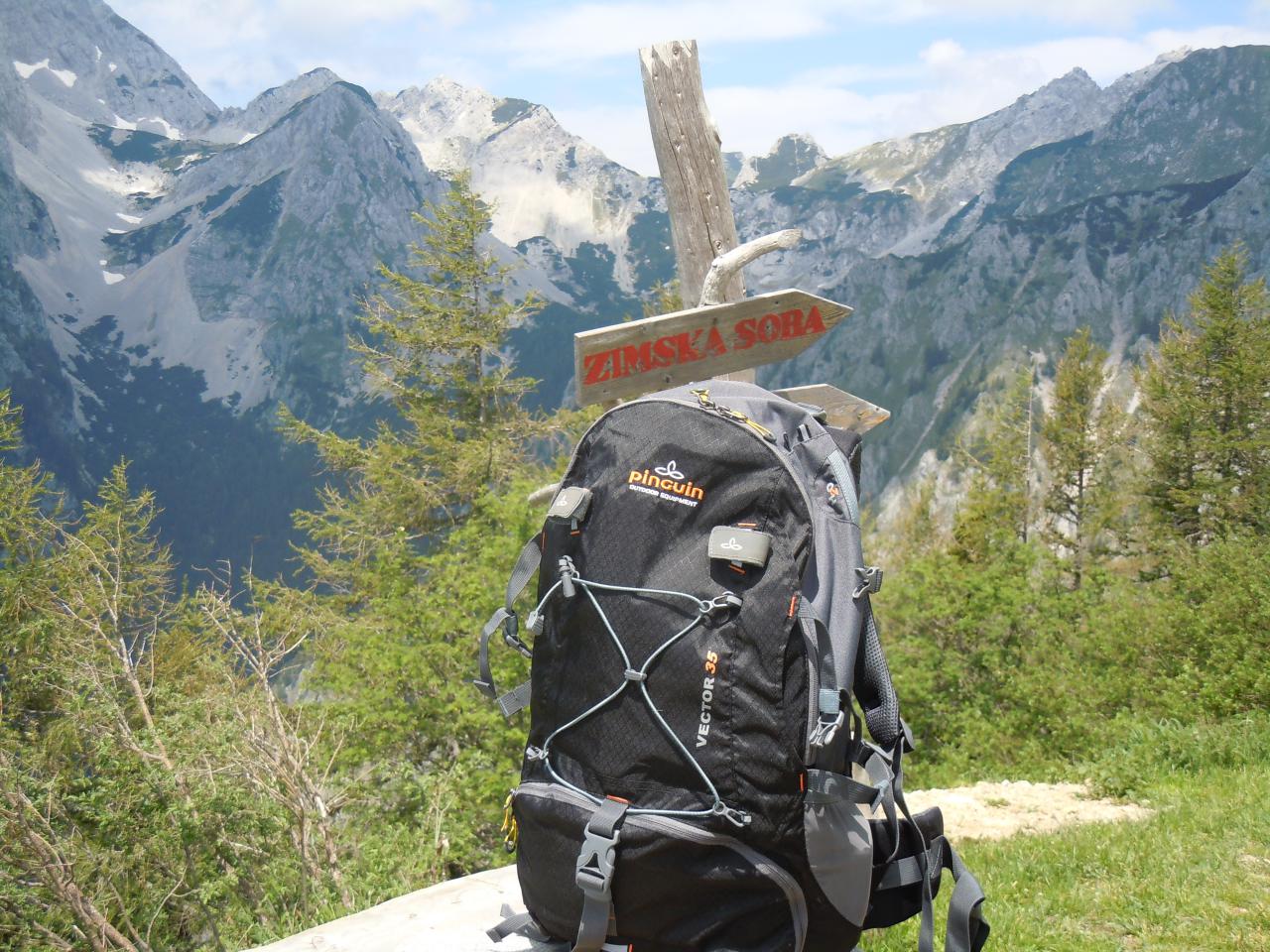 1280x960 Nahrbtnik Pinguin Vector