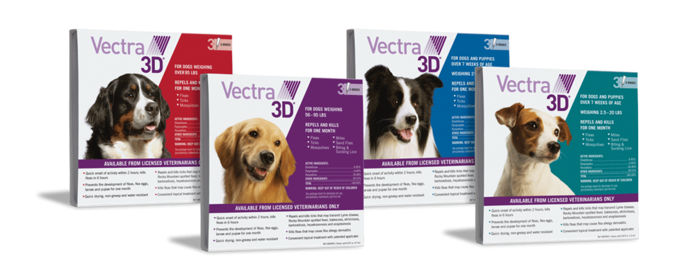 1000x398 Vectra For Dogs