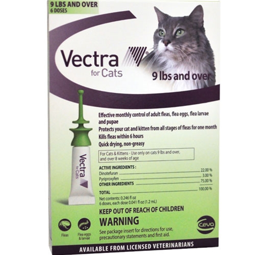 500x500 Vectra For Cats Kittens