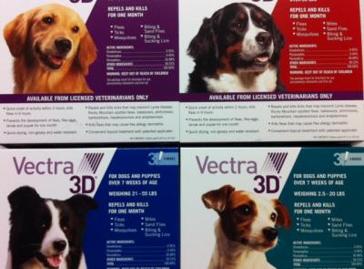 400x295 What's New Delmar Animal Hospital