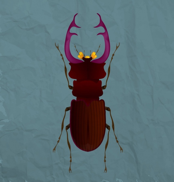 575x600 Wild Flea Icon Closeup Design Colored Ornament Free Vector