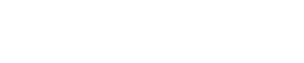 1000x207 Too Big To Fail