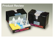 187x140 Vectastain Abc Kit And Vectastain Elite Abc Kit From Vector