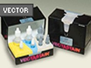 187x140 Vectastain Universal Elite Abc Kit From Vector Laboratories