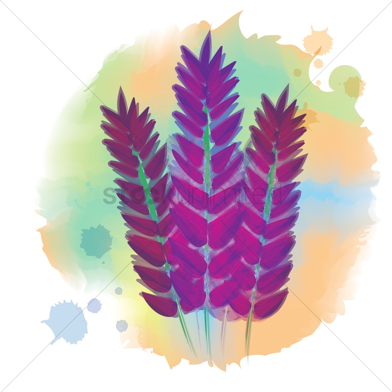 1300x1300 Adder Plant Vector Image