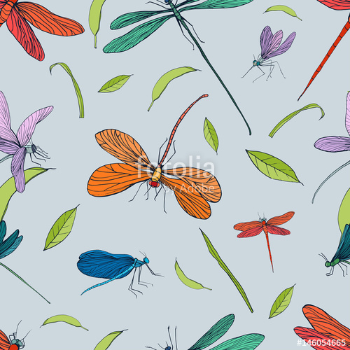 500x500 Seamless Pattern With Different Dragonfly Hand Drawn Background