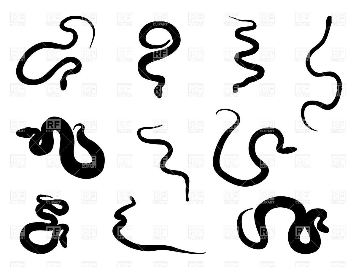 1200x900 Snake And Adder Silhouettes Vector Image Of Plants And Animals