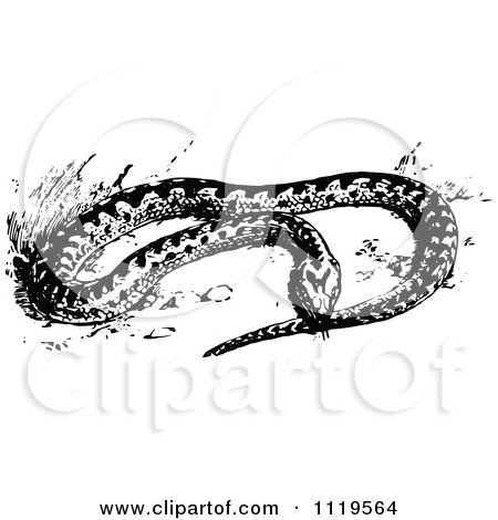 450x470 Clipart Of A Retro Vintage Black And White Adder Snake