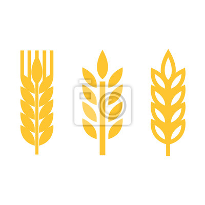 400x400 Vector Amarillo Trigo Espiga De Conjunto De Iconos Fotomural