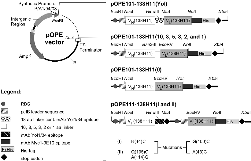821x525 And Vector Derivates Employed In This Study