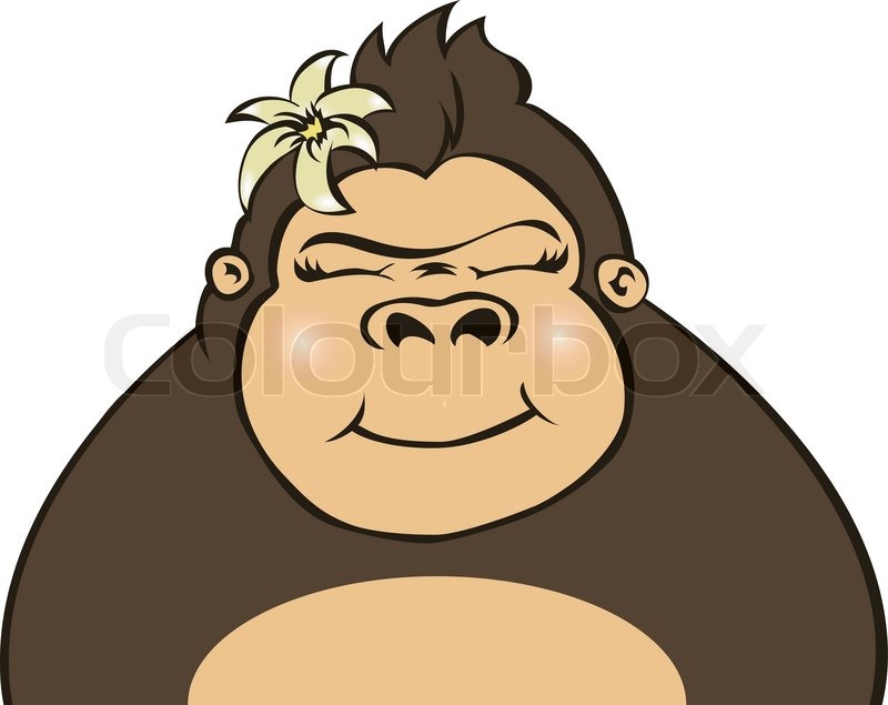 800x635 Gorilla And Vanilla Vector Stock Vector Colourbox