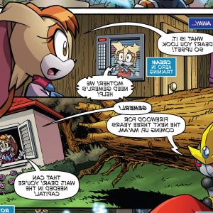 300x300 Sonic X Vector And Vanilla Hoodamathrun