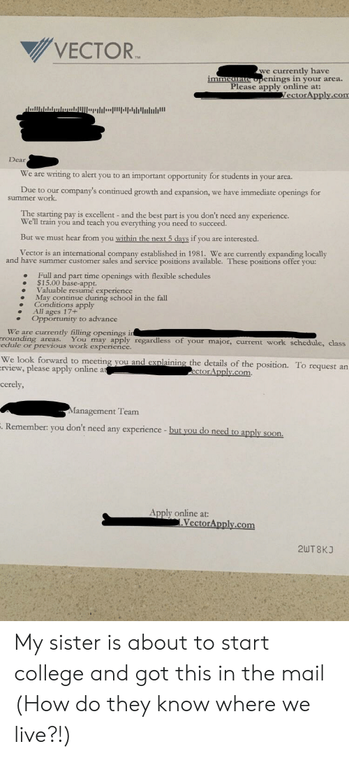 500x1085 Vector We Currently Have Immediateopenings In Your Area Please