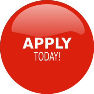 300x300 Apply Clip Art At Vector Clip Art Online