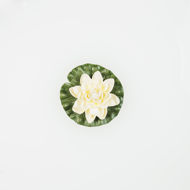 626x626 Aquatics Center Vectors, Photos And Free Download