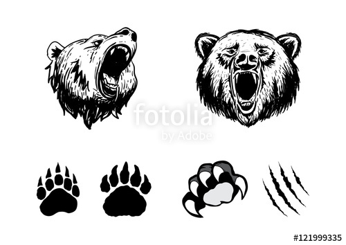 500x354 Bear Claw And Head Pack Stock Image And Royalty Free Vector